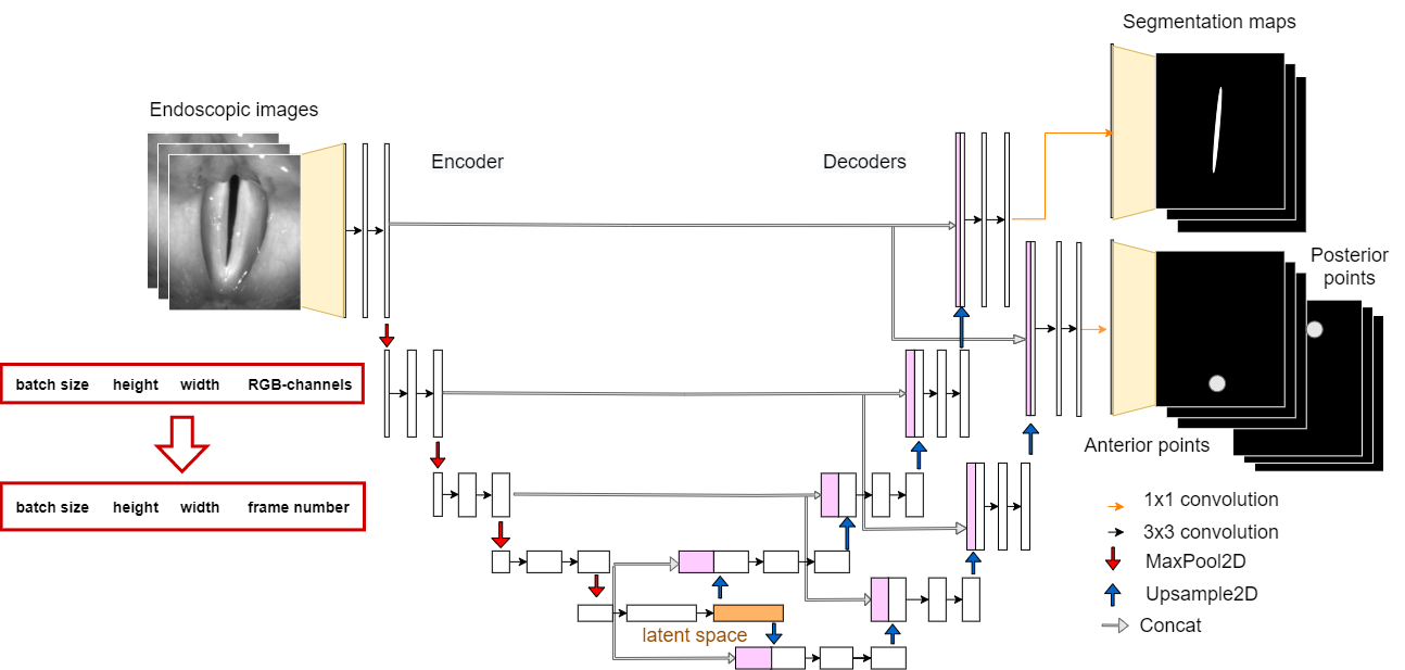 ../_images/GlottisNetV2_Channels.png